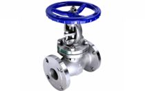 Globe Valve